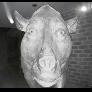 Meet your Posher, Keith